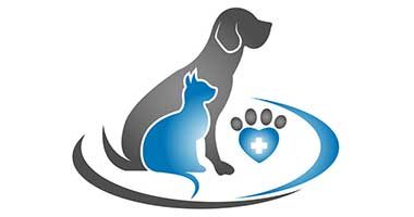 particuliers-assurance-animaux-compagnie